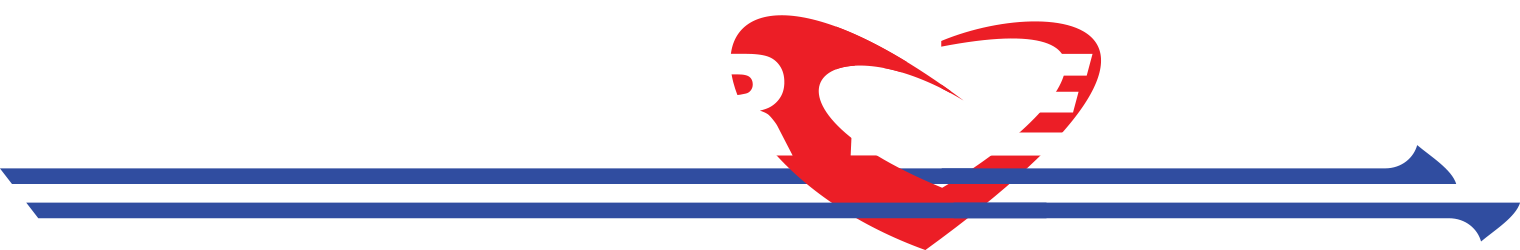 LeatherWerks Logo
